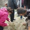 Δενδροφύτευση / Tree planting